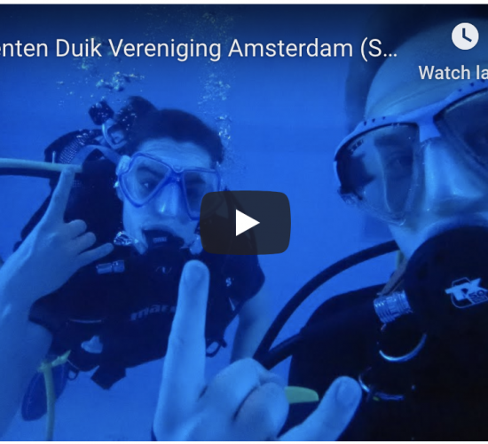 Studenten Duik Vereniging Amsterdam (SDVA) – Intreeweek 2020